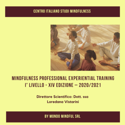Mindfulness Professional Experiential Training 2020